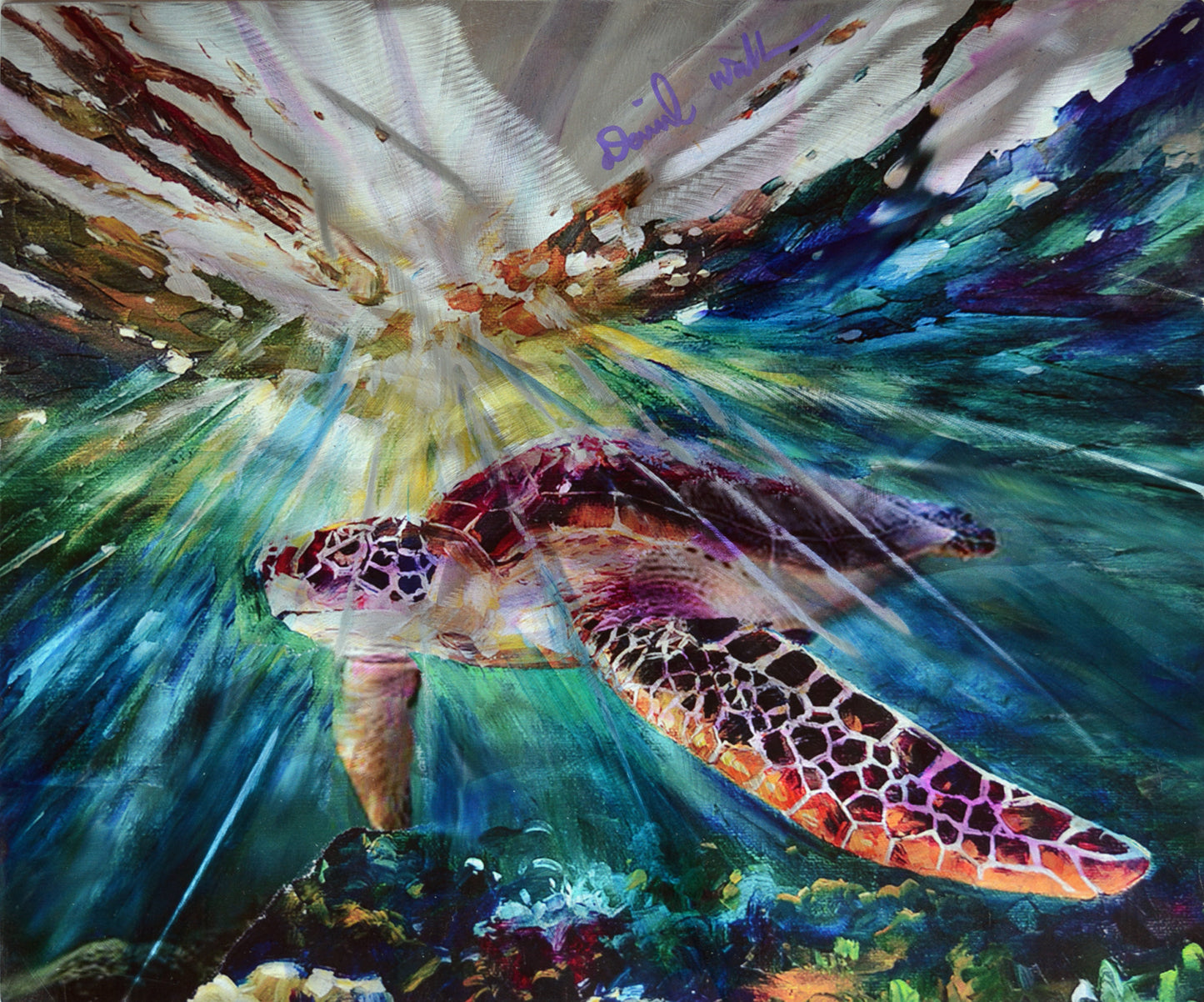 Daniel Wall - Sunny Ocean