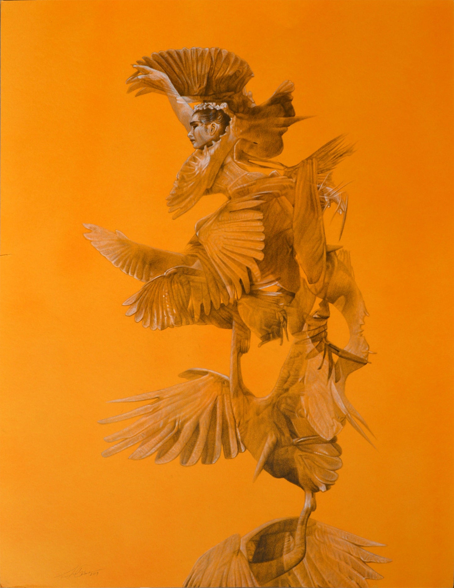 Julio Cesar Delgado - Dance of the Birds #23